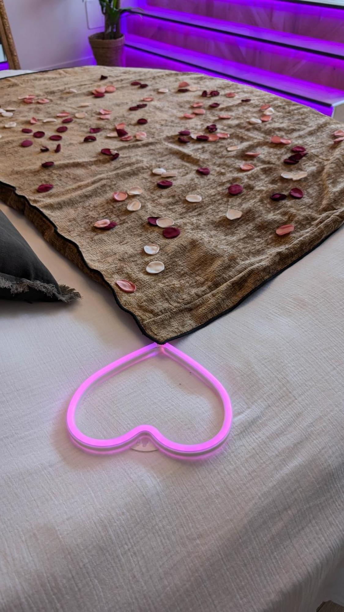 Les Suites Du Payre - Suite Romance Saint-Hilaire-de-Talmont Ngoại thất bức ảnh